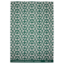 Load image into Gallery viewer, Dandelion Bottle Green Gift Wrap by Cambridge Imprint