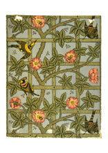 Load image into Gallery viewer, Trellis Garden Futures Postcard