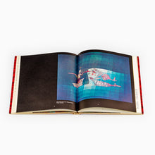 Load image into Gallery viewer, Eye for Colour by Bernat Klein