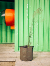 Load image into Gallery viewer, Fabric plant pot by BACSAC used in an outdoor urban setting