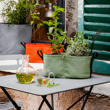 Load image into Gallery viewer, bacsac small window plant boxes for herbs and flowers