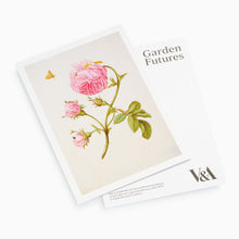 Load image into Gallery viewer, A postcard featuring a botanical illustration of a rose with a butterfly and the text 'Garden Futures'.