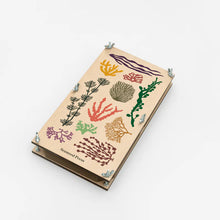 Load image into Gallery viewer, Seaweed press with seaweed illustrations on a white background