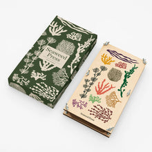 Load image into Gallery viewer, Beautiful gift box containing seaweed press which has colourful illustrations of seaweed on a white background.