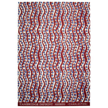 Load image into Gallery viewer, Charleston Scumble Gift Wrap by Cambridge Imprint
