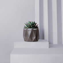 Load image into Gallery viewer, Self-watering Small Plant Pot by POTR
