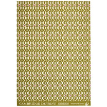 Load image into Gallery viewer, Persephone Bright Olive &amp; Pink Gift Wrap by Cambridge Imprint
