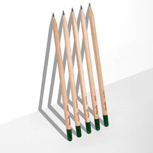 Load image into Gallery viewer, Plantable Pencils Herb Edition by Sprout World
