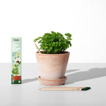 Load image into Gallery viewer, Plantable Pencils Herb Edition by Sprout World
