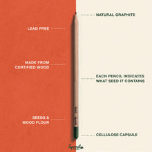 Load image into Gallery viewer, Plantable Pencils Kitchen Edition by Sprout World
