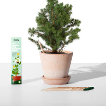 Load image into Gallery viewer, Plantable Pencils Plant-a-Tree Edition by Sprout World
