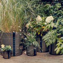 Load image into Gallery viewer, BACSAC fabric plant pots used for urban gardening with plants
