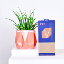 Load image into Gallery viewer, Self-watering Large Plant Pot by POTR
