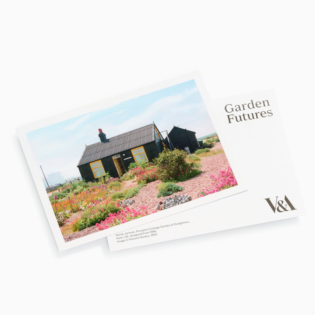 Derek Jarman's Cottage Garden Futures Postcard