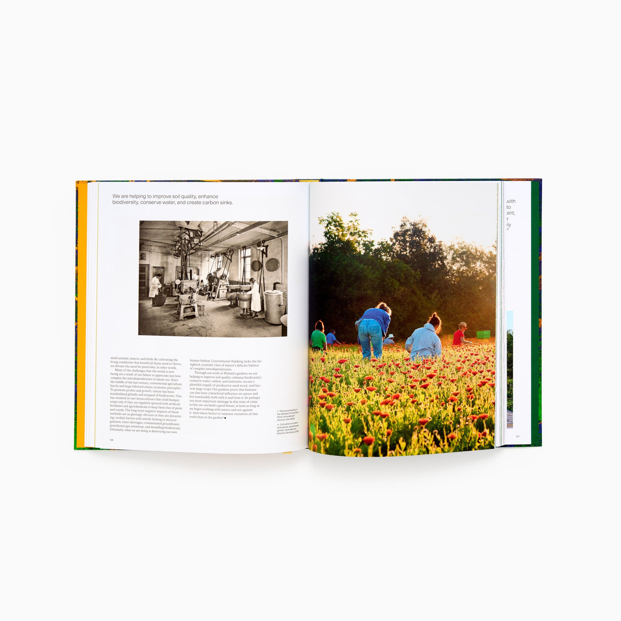 英語・図録　Gardens in Perpetual Bloom 英語・図録Gardens in Perpetual Bloom