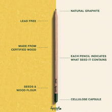Load image into Gallery viewer, Plantable Pencils Happy Bee Edition by Sprout World
