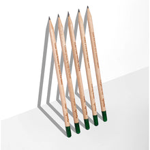Load image into Gallery viewer, Plantable Pencils Happy Bee Edition by Sprout World
