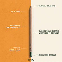Load image into Gallery viewer, Plantable Pencils Herb Edition by Sprout World
