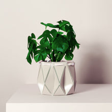 Load image into Gallery viewer, A blue geometric self-watering plant pot by POTR, displayed next to its packaging, with a plant inside.
