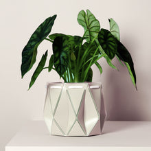 Load image into Gallery viewer, potr ivory plant pot 18cm 
