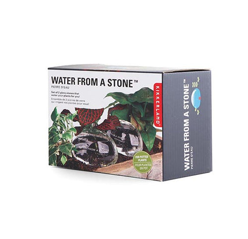 Two hand blown glass vessels with corks, packaged in a box labeled 'WATER FROM A STONE', depicting the product intended for watering plants.