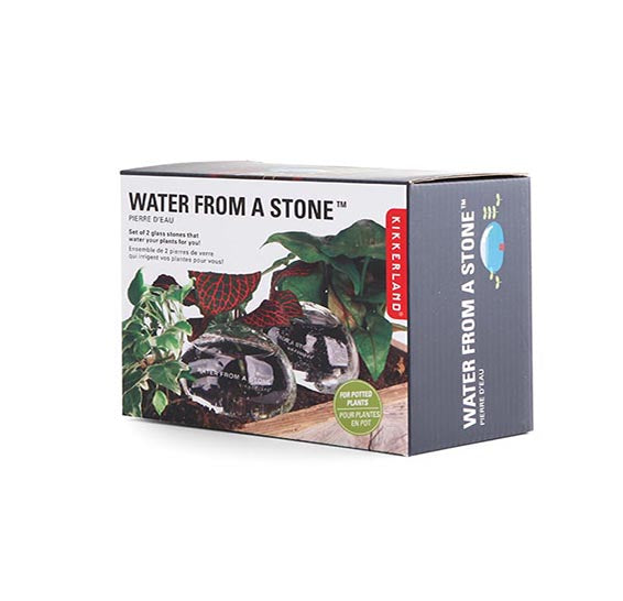 Water From A Stone