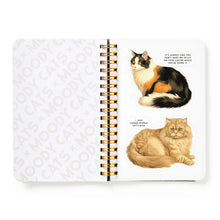 Load image into Gallery viewer, Moody Cats Sticker Book
