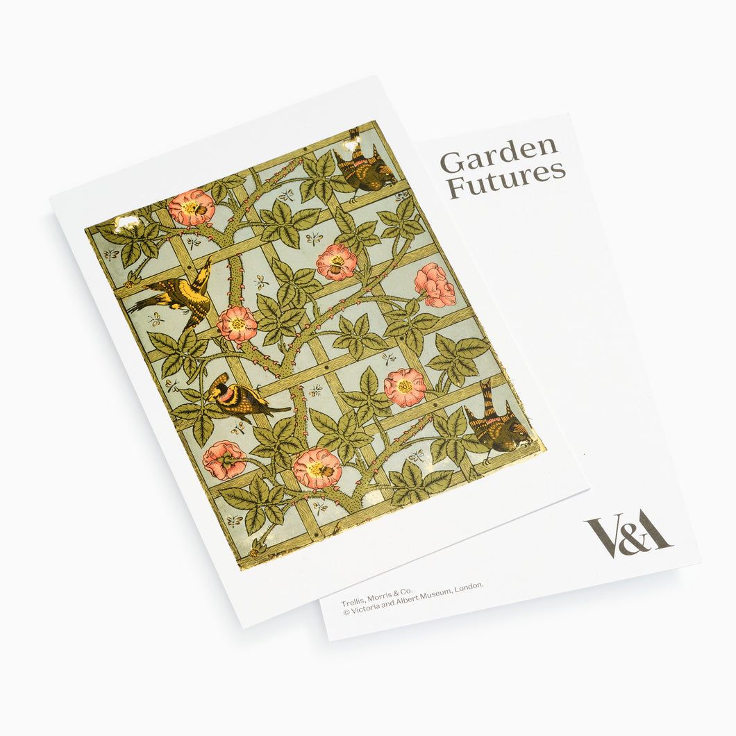 Trellis Garden Futures Postcard
