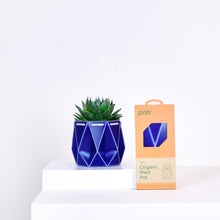 Load image into Gallery viewer, Self-watering Small Plant Pot by POTR
