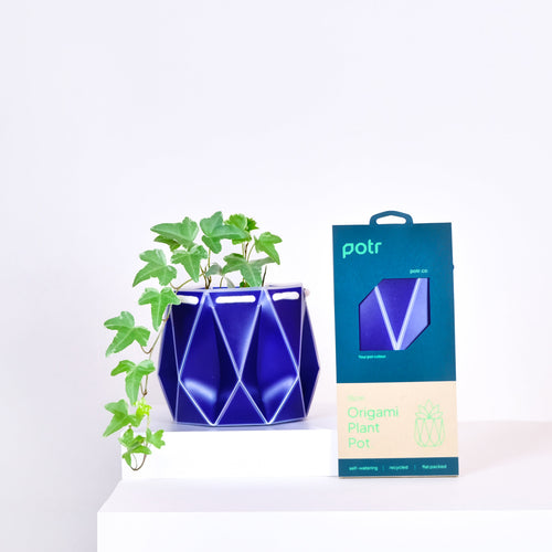 A blue geometric self-watering plant pot by POTR, displayed next to its packaging, with a plant inside.