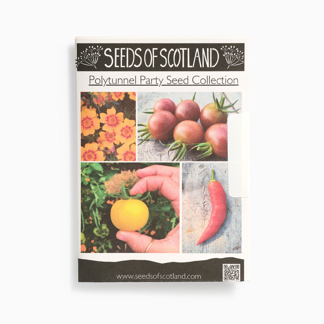 Polytunnel Party Seed Selection by Seeds of Scotland