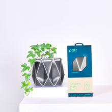 Load image into Gallery viewer, Geometric plant pot with a plant and packaging on a white surface.
