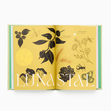 Load image into Gallery viewer, Slow Seasons by Rosie Steer
