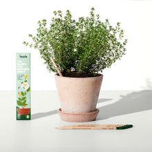 Load image into Gallery viewer, Plantable Pencils Happy Bee Edition by Sprout World
