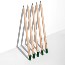 Load image into Gallery viewer, Plantable Pencils Kitchen Edition by Sprout World

