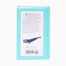 Load image into Gallery viewer, Back cover of The Little Book of Whales pocket wildlife book with turquoise cloth binding and whale illustration.
