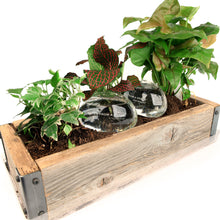 Load image into Gallery viewer, water from a stone set shown in garden planter with plants
