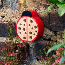 Load image into Gallery viewer, Wooden ladybird bug hotel hanging outdoors in a garden among plants and flowers.
